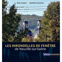 Les Hirondelles De Fenêtre : De Neuville-sur-saône