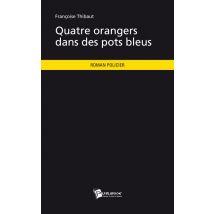 Quatre Orangers Dans Des Pots Bleus