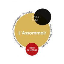 L'Assomoir, D'Emile Zola