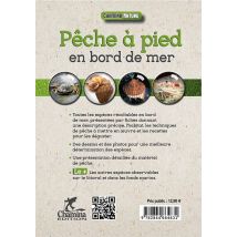 Peche A Pied En Bord De Mer
