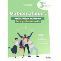 Mathématiques : Préparation Au Brevet, Série Professionnelle
