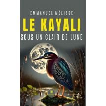 Le Kayali Sous Un Clair De Lune
