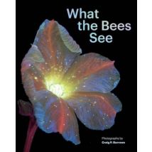 What The Bees See