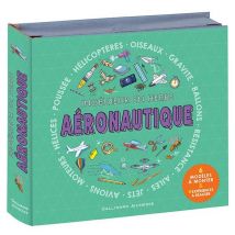 Aéronautique : Ingénieur En Herbe
