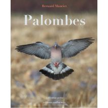 Palombes