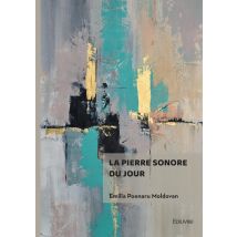 La Pierre Sonore Du Jour