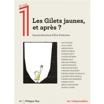 Les Gilets Jaunes, Et Après ?