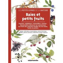 Baies Et Petits Fruits