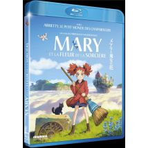 Mary Et La Fleur De La Sorcière