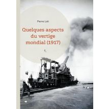 Quelques Aspects Du Vertige Mondial (1917) : L'Analyse De Pierre Loti Sur Les Bouleversements Mondiaux De La Première Guerre Mondiale, Un Témoignage