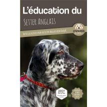 L'Éducation Du Setter Anglais : Toutes Les Astuces Pour Un Setter Anglais Bien Éduqué