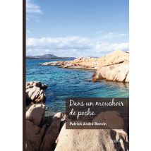 Dans Un Mouchoir De Poche : Recueil