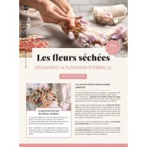 Les Fleurs Séchées : Découvrez La Floraison Éternelle
