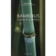 Bambous, Roseaux Et Graminées