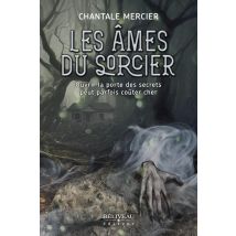 Les Âmes Du Sorcier : Ouvrir La Porte Des Secrets Peut Parfois Coûter Cher