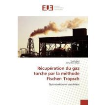 Recuperation Du Gaz Torche Par La Methode Fischer- Tropsch - Optimisation Et Simulation