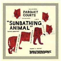 Parquet Courts