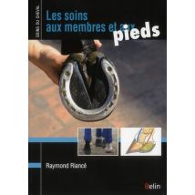 Les Soins Aux Membres Et Aux Pieds