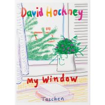 David Hockney: My Window