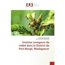 Insectes Ravageurs De Niébé Dans Le District De Port-bergé, Madagascar