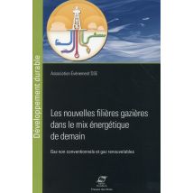Les Nouvelles Filières Gazières Dans Le Mix Énergétique De Demain