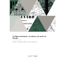 La Vigne Américaine