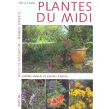Plantes Du Midi - T02 - Plantes Du Midi - Guide De Recherche, Manuel D'Emploi - Tome 2 - Plantes Viv