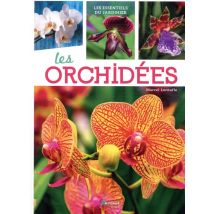 Les Orchidées