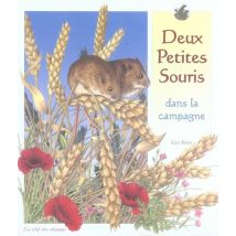 Deux Petites Souris Dans La Campagne