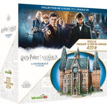 Wizarding World - Harry Potter / Les Animaux Fantastiques - L'Intégrale Coffret 11 Films