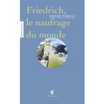 Friedrich, Le Naufrage Du Monde