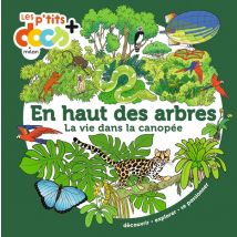 En Haut Des Arbres