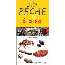 Guide De La Pêche À Pied