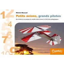 Petits Avions, Grands Pilotes - De La Théorie À La Pratique Du Modèle Réduit D'Avion En 239 Fiches Pédagogiques