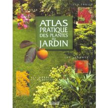 Atlas Pratique Des Plantes Du Jardin