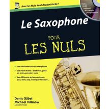 Le Saxophone Pour Les Nuls
