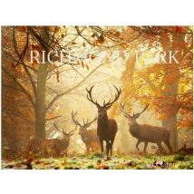 Richmond Park