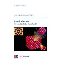 Atomic Clusters : Introduction To The Nano World
