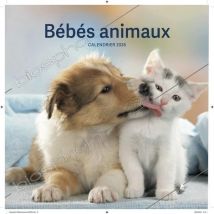 Calendrier Bébés Animaux 2026
