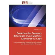 Evolution Des Courants Rotoriques D'Une Machine Asynchrone A Cage - Comportement Des Parametres De L
