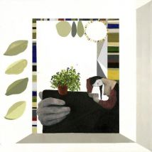 Magnolia - Édition;colorée