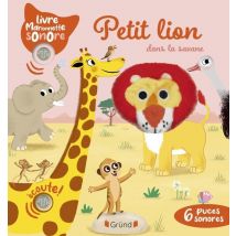 Petit Lion Dans La Savane
