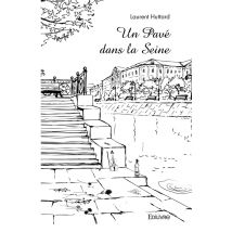 Un Pave Dans La Seine