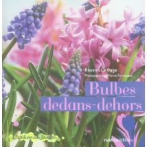 Bulbes Dedans-dehors