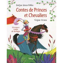 Contes De Princes Et Chevaliers