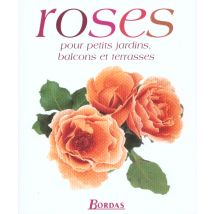 Roses Pour Petits Jardins Balcons Et Terrasses