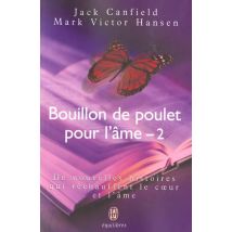 Bouillon De Poulet Pour L'Ame - 2