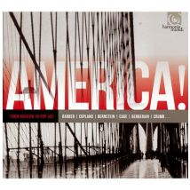 From Modern To Pop Art, America /vol.3