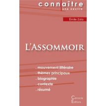 L'Assommoir, D'Emile Zola