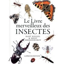 Le Livre Merveilleux Des Insectes